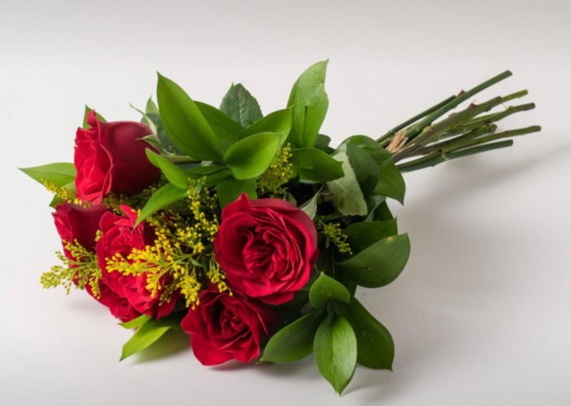Buquê Com 6 Rosas Vermelhas Buquê Com 6 Rosas Vermelhas