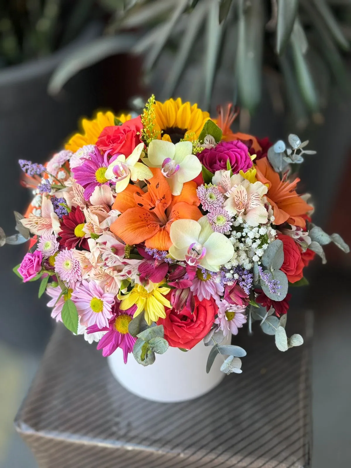 Arranjo Box com Orquídeas Arranjo Box com Orquídeas
