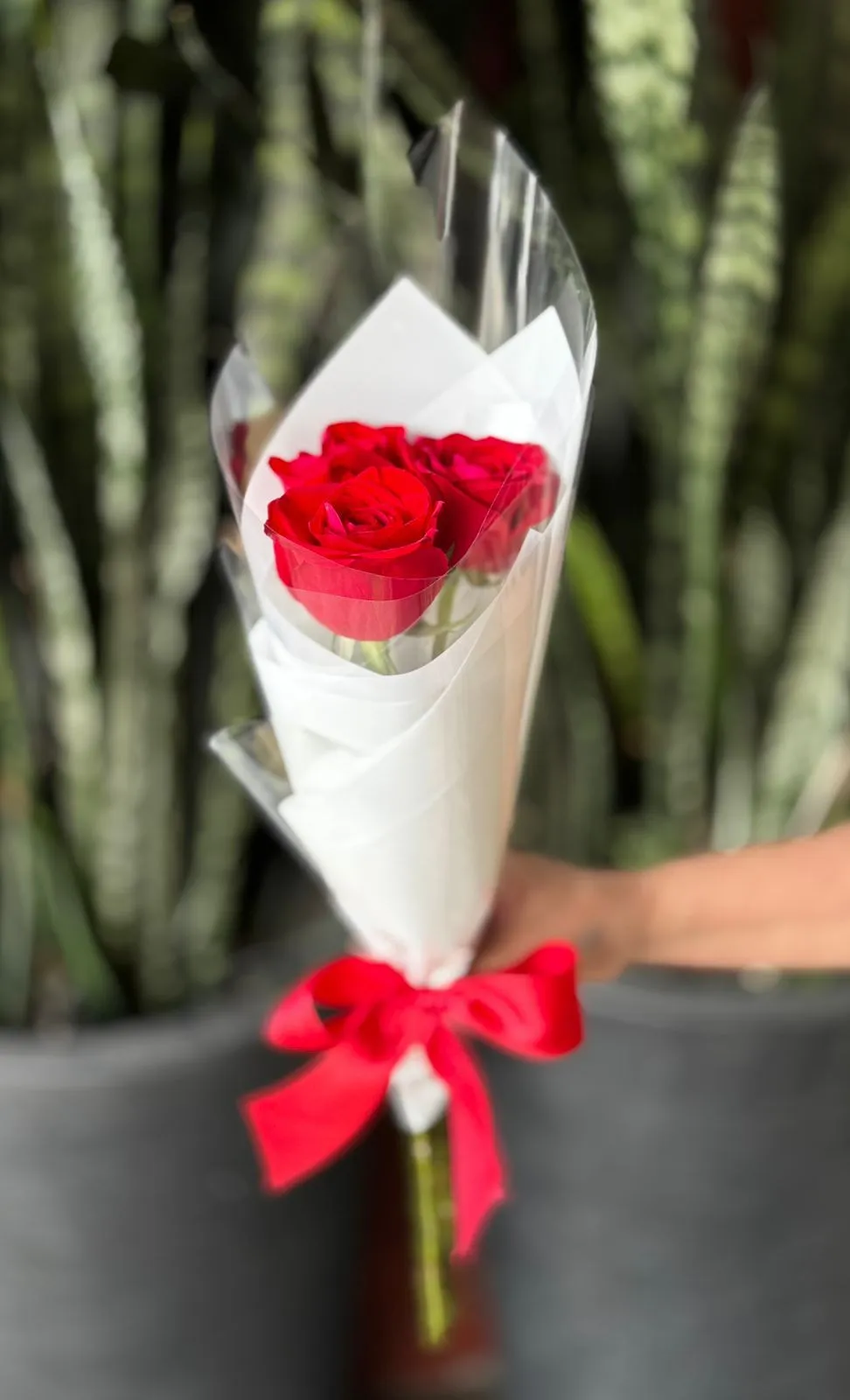 Buquê 3 Rosas Buquê 3 Rosas