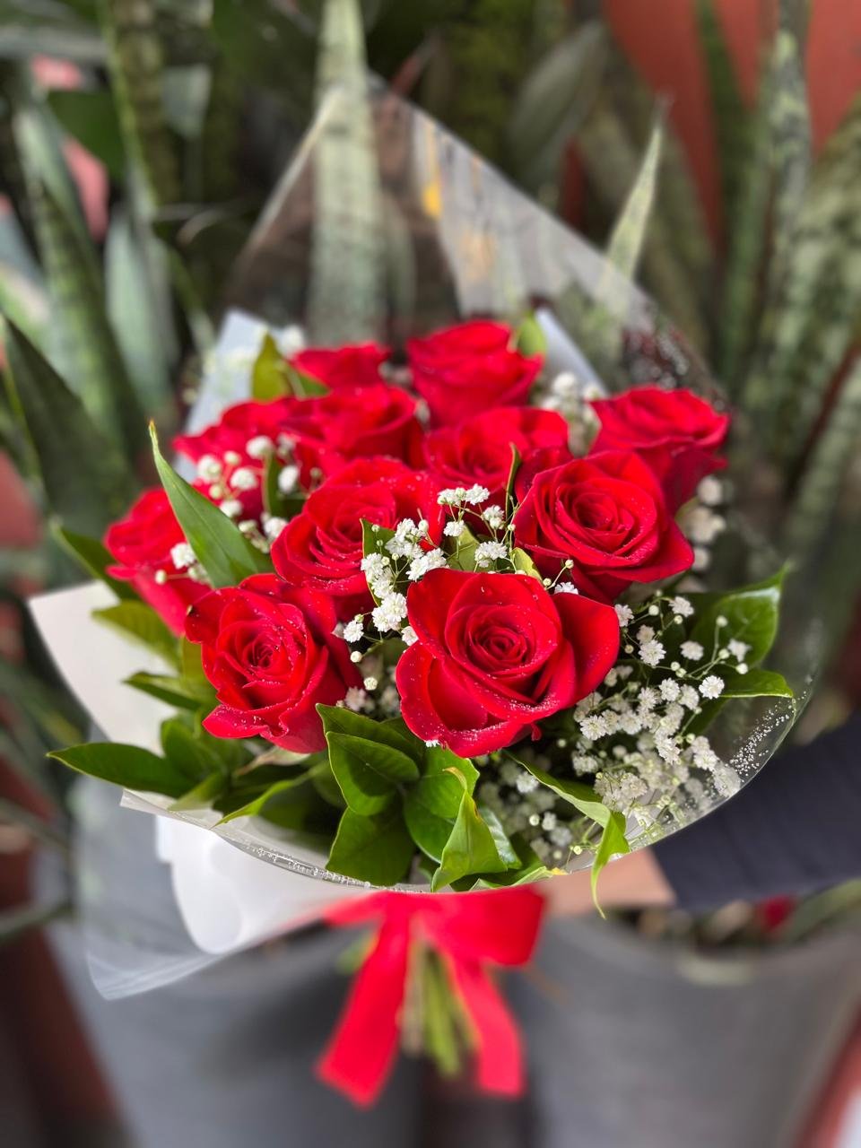Buquê 12 Rosas Vermelhas Buquê 12 Rosas Vermelhas