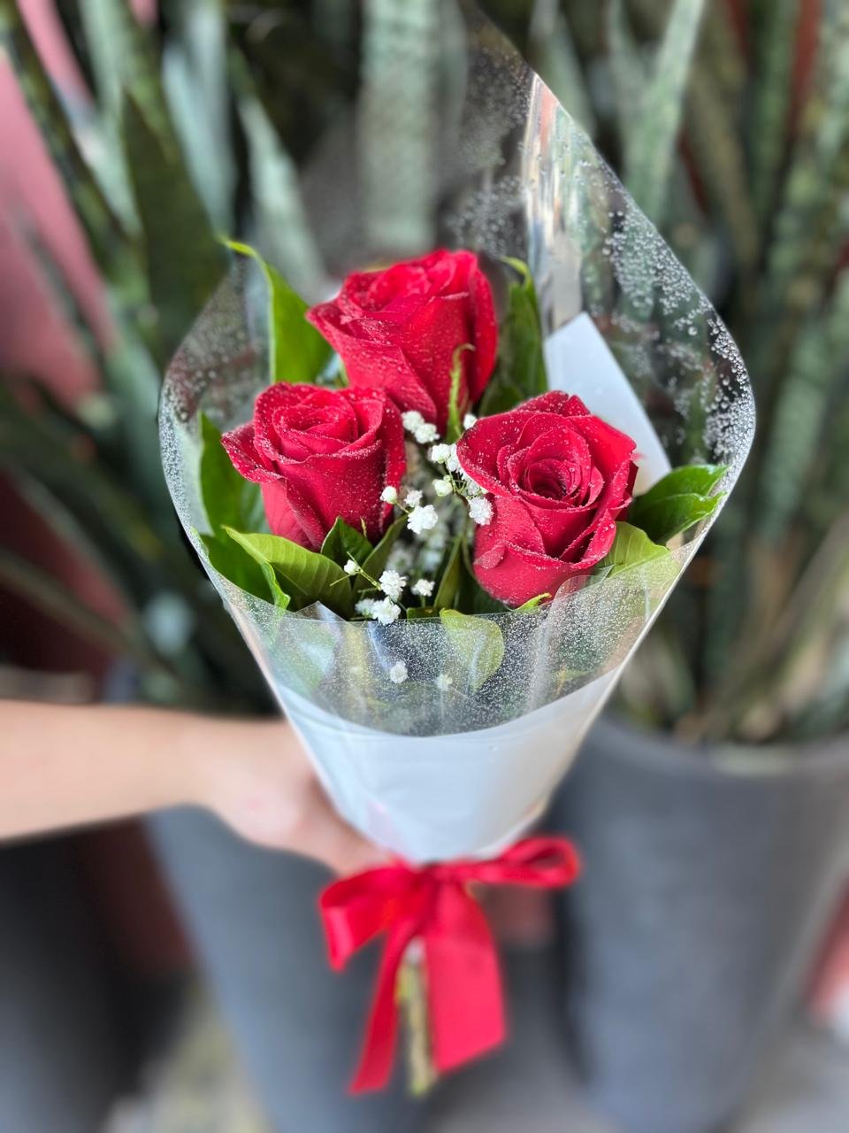 Buquê 3 Rosas Vermelhas Buquê 3 Rosas Vermelhas