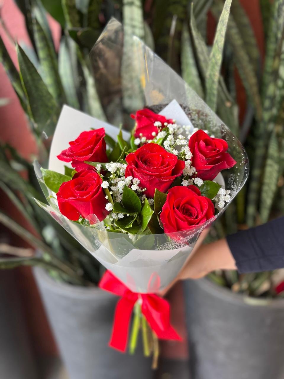Buquê 6 Rosas Vermelhas Buquê 6 Rosas Vermelhas