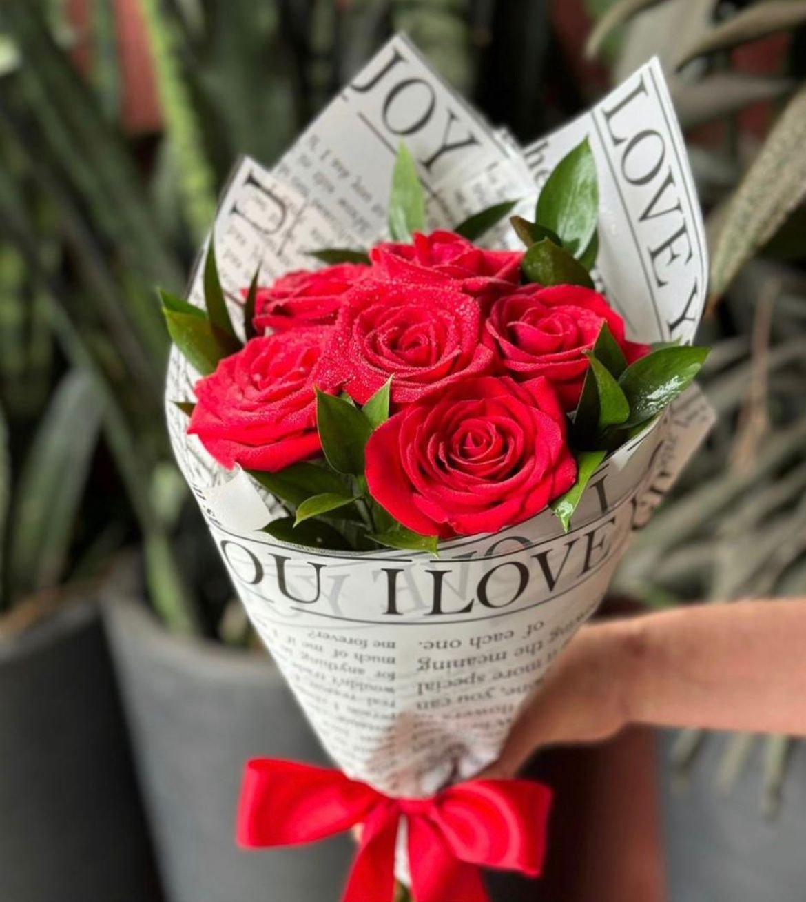 Buquê 6 Rosas Buquê 6 Rosas