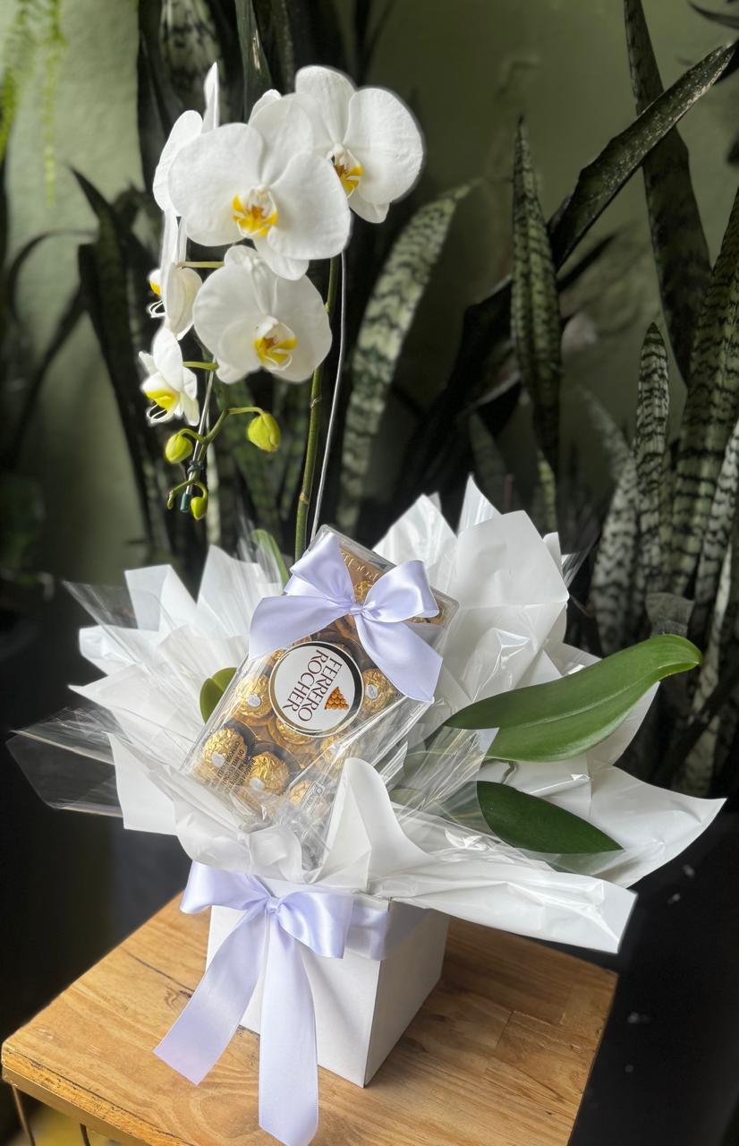 Orquídea Phalaenopsis Branca com Ferrero