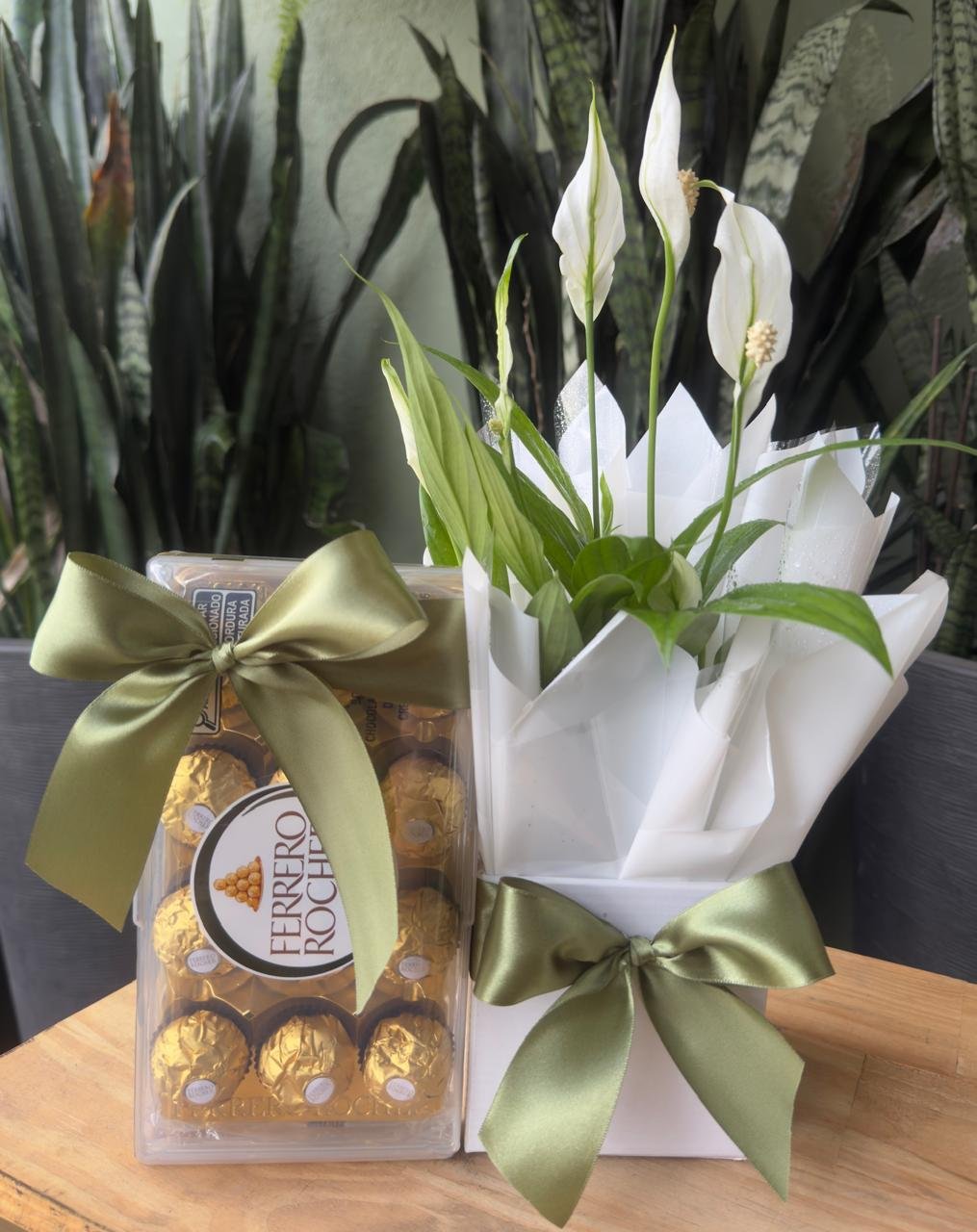 Vaso de Lírio da Paz + Ferrero