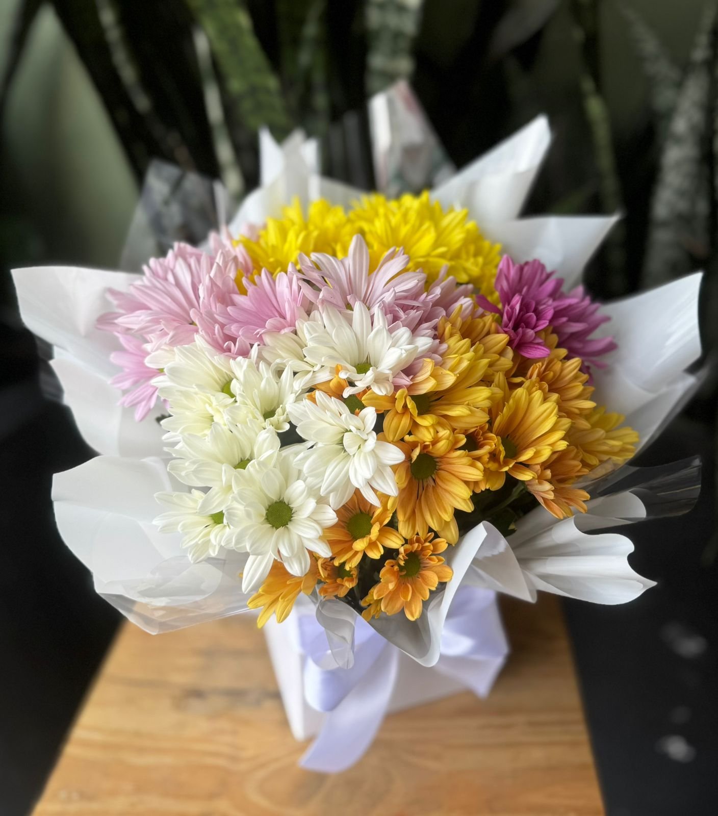 Vaso de Margaridas Coloridas