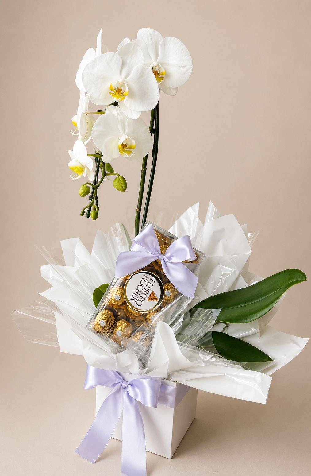 Orquídea Phalaenopsis Branca no Cachepô com Ferrero