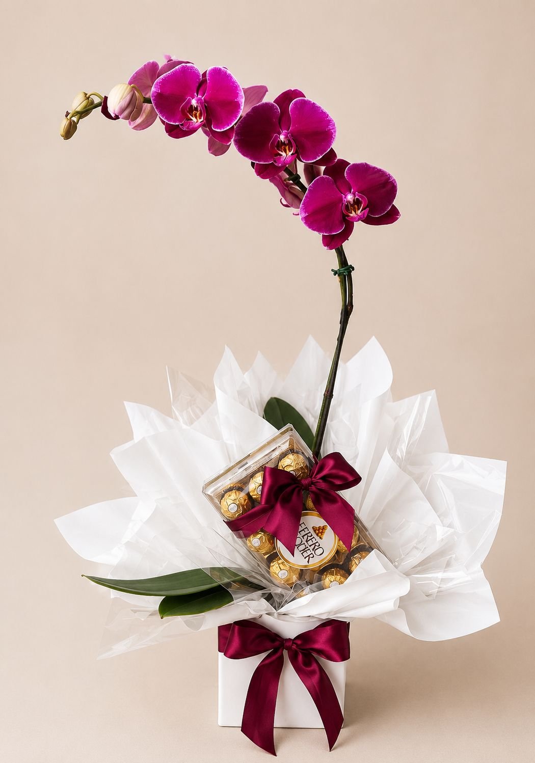Orquídea Phalaenopsis Roxa no Cachepô com Ferrero