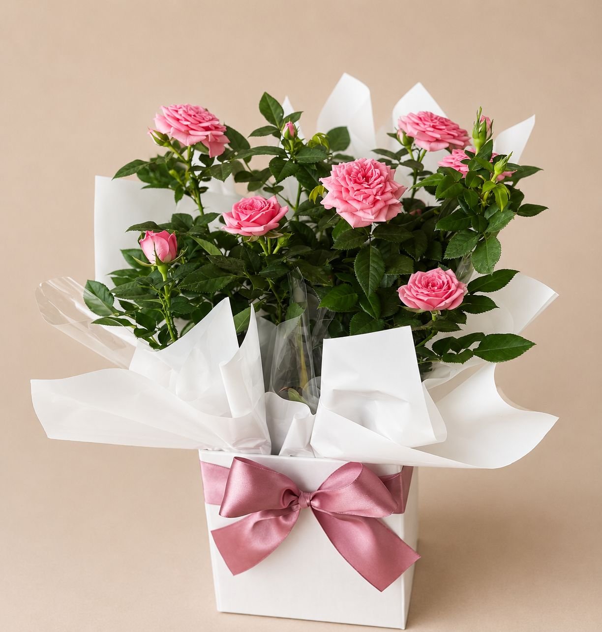 Vaso de Mini Rosa no Cachepô