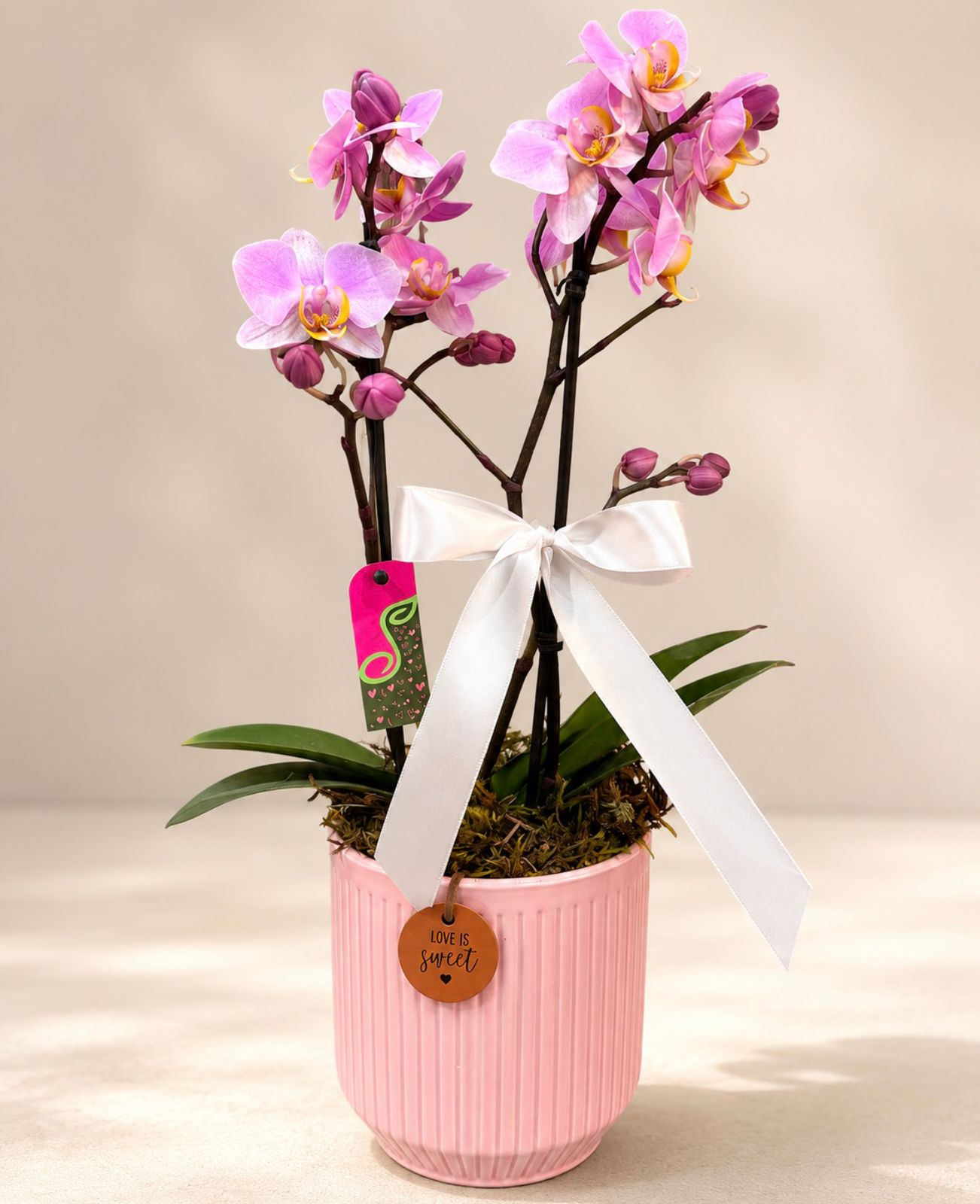 Mini Orquídea na Cerâmica